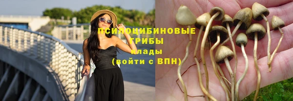 2c-b Няндома