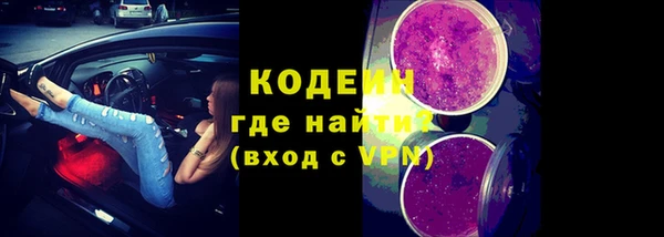 шишки Осинники