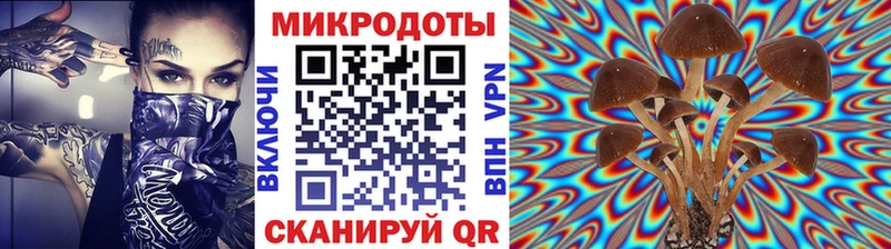 Псилоцибиновые грибы Cubensis Киренск